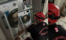 Çamaşır makinesindeki kedi kurtarıldı
