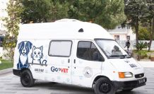 Sokak hayvanları için mobil veteriner