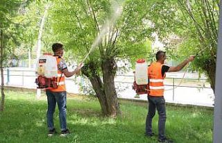 Aziziye’de haşerelere geçit yok