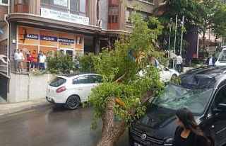 Başkent sele teslim oldu