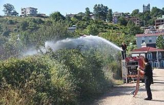 Sinop’ta ot yangını