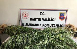 Bartın’da jandarmadan uyuşturucu operasyonu