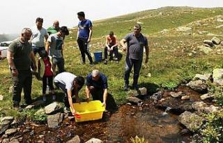 Giresun’da dereler balıklandırılıyor