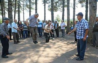 Koca çınarların piknik keyfi