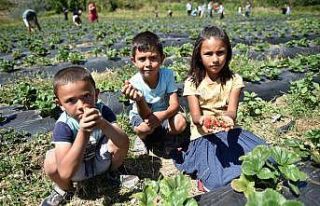 Adana’da tarımı güçlendirme projeleri