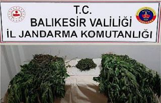 Balıkesir’de jandarmadan uyuşturucu operasyonu