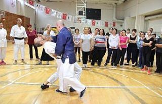 Kadına şiddete karşı aikido