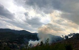 Muğla’da yıldırım yangınları