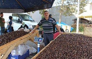 Sinop’ta kestane pazara indi