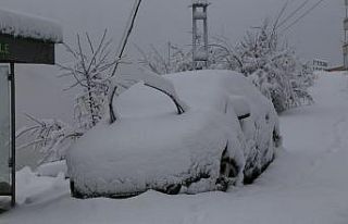 Artvin beyaza büründü