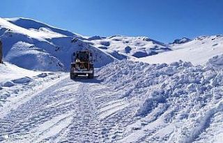 Başkale’de hasta kurtarma operasyonu