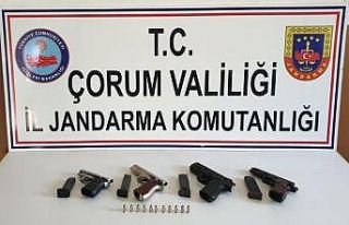 Jandarma’dan silah operasyonu