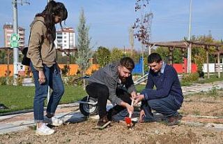 Özel gereksinimlilere yeni uygulama