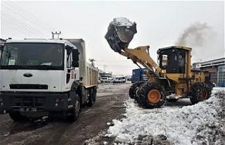 Tonlarca kar kamyonlarla taşındı