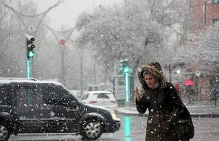 Erzincan’da kar tatili