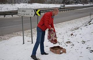 Sokak hayvanları unutulmadı