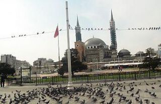 Taksim Meydanı kuşlara kaldı