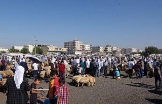 Viranşehir’de hayvan pazarı kapatıldı