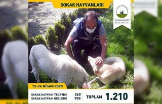 Can dostlara Osmangazi şefkati