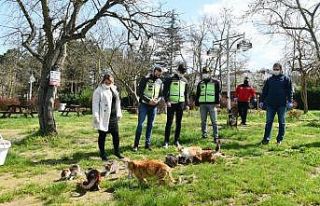 Mustafakemalpaşa’da sokak hayvanları unutulmadı