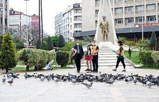 Başkan Akay güvercinleri besledi