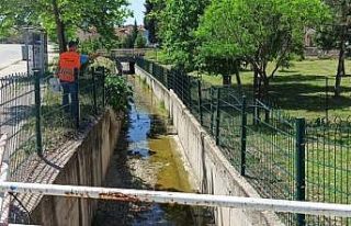 Gediz’de ilaçlama çalışmaları başladı