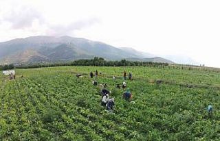 Isparta’da sulama sezonu başladı