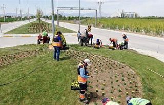 Karaman’da kavşaklar çiçeklerle donatıldı