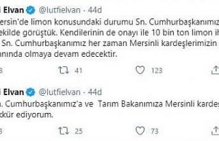 Limon üreticisine ihracat müjdesi