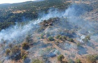 Gaziantep’te orman yangını