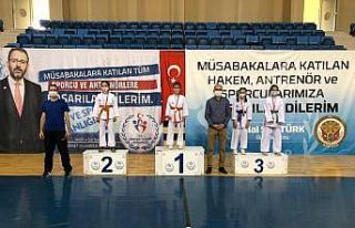 Karate müsabakaları sona erdi