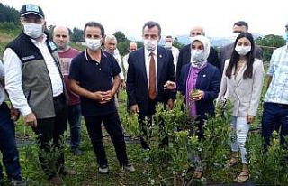 Toprak Büyükşehir’le bereketleniyor