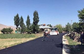 Van’da yol asfaltlama çalışması