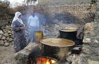 Gercüş’te bağbozumu zamanı