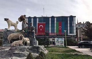 Kangal’dan Azerbaycan’a destek