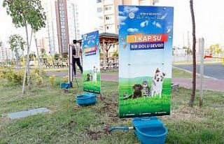 Sokak hayvanlarına yeni suluk