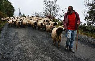 Yaylalardan dönüşler başladı