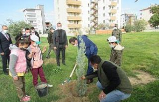 Burhaniye’de öğrenciler ağaç dikti