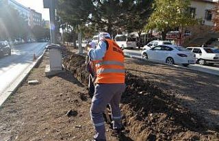 Çalışmalarla refüjler güzelleşecek