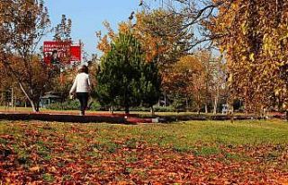 Çankaya parklarında sonbahar keyfi