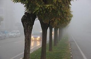 Manisa güne sisle uyandı