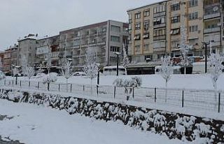 Balıkesir merkezi kara uyandı