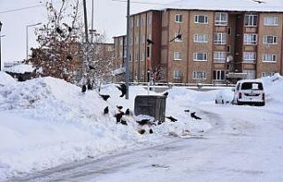 Bitlis kara gömüldü