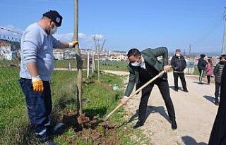 Biga Yeniceköy mahallesi ağaçlandırıldı