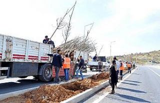 Diyarbakır’ın ilçeleri yeşilleniyor