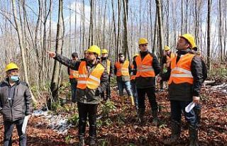 Düzce’de silvikültür uygulamaları yapıldı