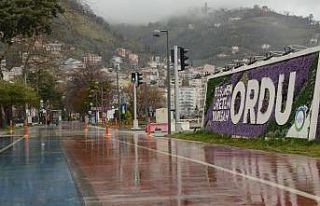 Ordu’da kısıtlama sessizliği