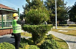 Park ve bahçelere makyaj