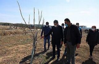 Tozman yaylalarının çehresi değişecek