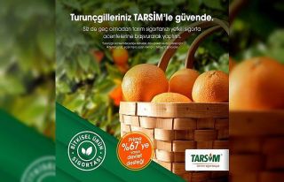 TARSİM: “Turunçgilleriniz güvende”